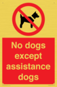no-dogs-except-assistance-dogs~